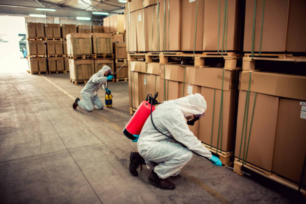 Best Affordable Pest Control Services  in Morton, PA