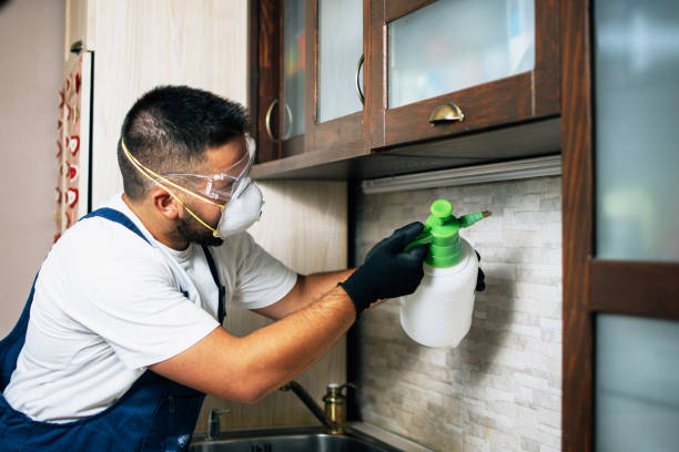 Flea Control Services in Morton, PA