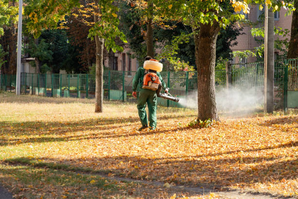Pest Prevention Services in Morton, PA