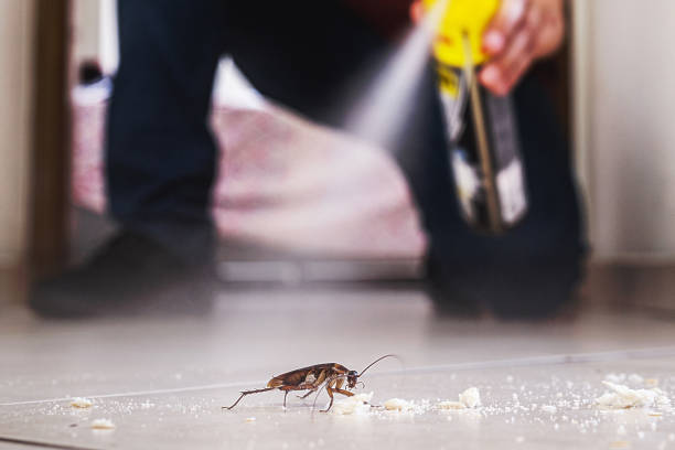Best Pest Prevention Services  in Morton, PA